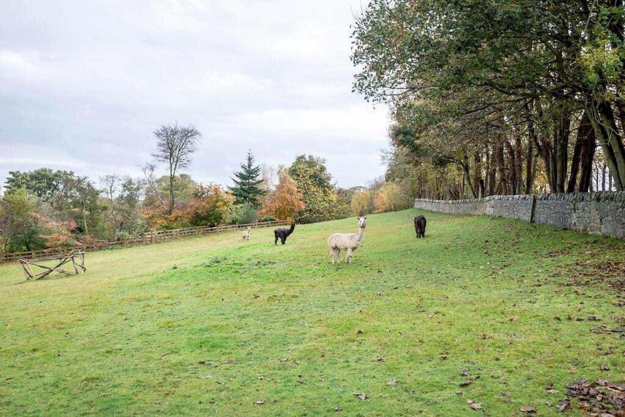 Park View Cottages - The Granary Boarhills エクステリア 写真